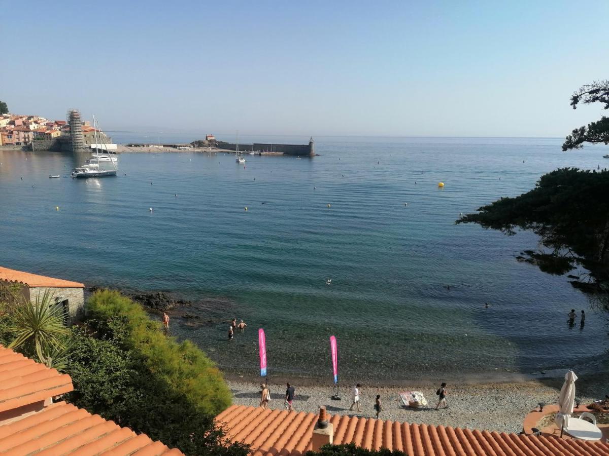 Charmant Appartement De Vacances Au Coeur D'Argeles Zewnętrze zdjęcie